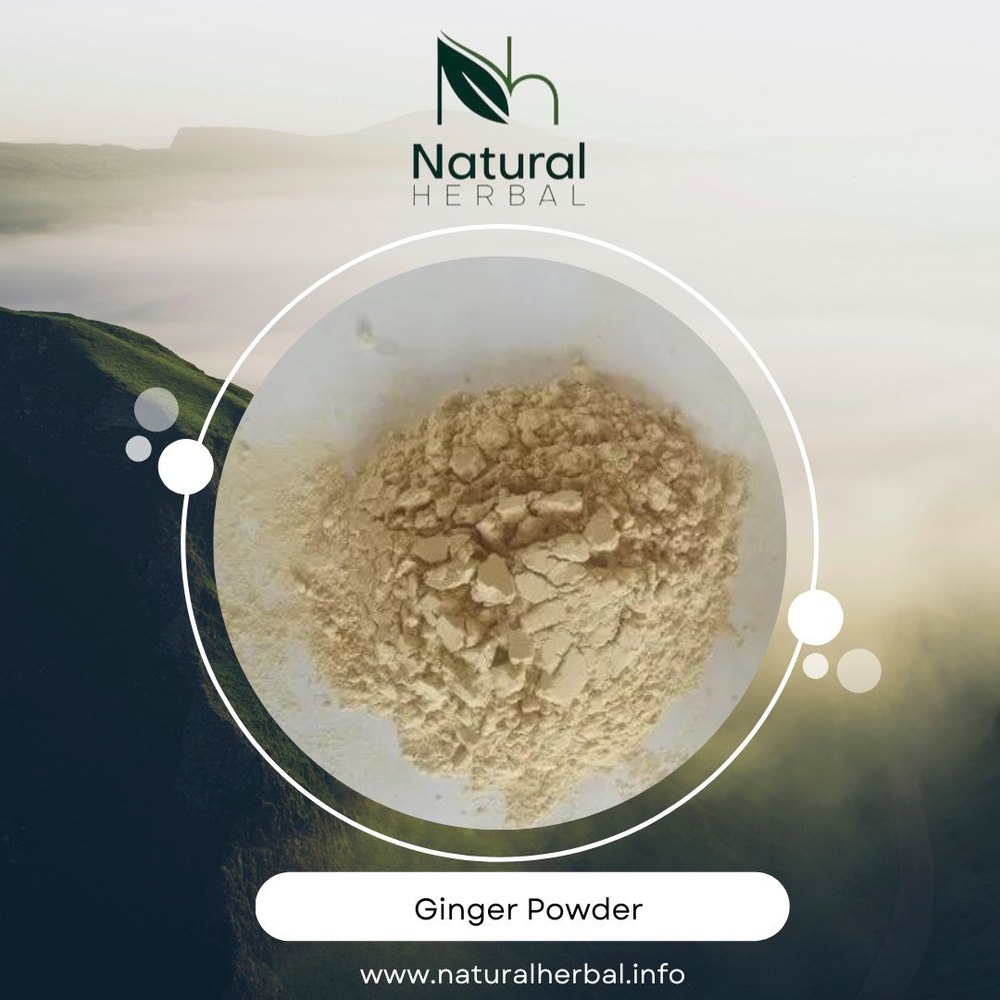 Dry Ginger Powder, Packaging Type: Bag
