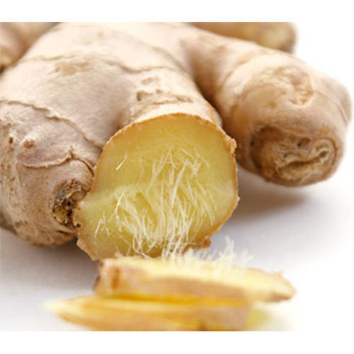 Ginger Powder Extract, Packaging Size: 1 - 5 Kg