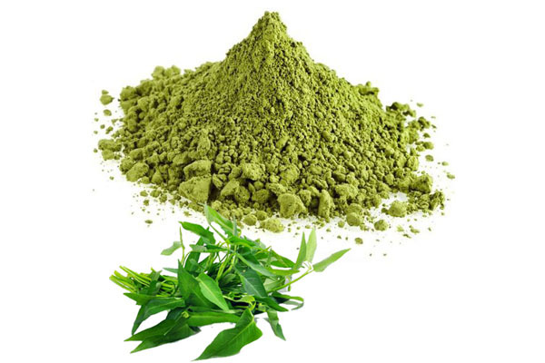 Curry Leaf Powder, Packaging Type: PP Bag, 5 Kg