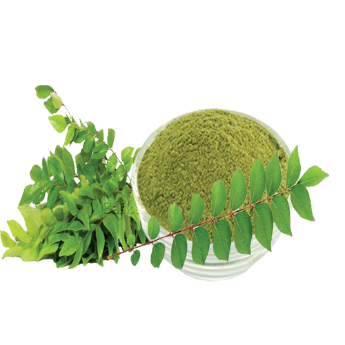 Curry Leaves Powder, Packaging Size: 25kg, Packaging: Packet