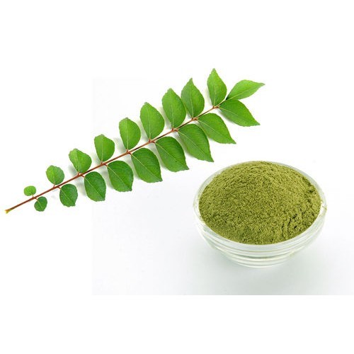 Green Dehydrated Curry Leaves Powder, Packaging Type: HDPE Bag, Packaging Size: 20kg