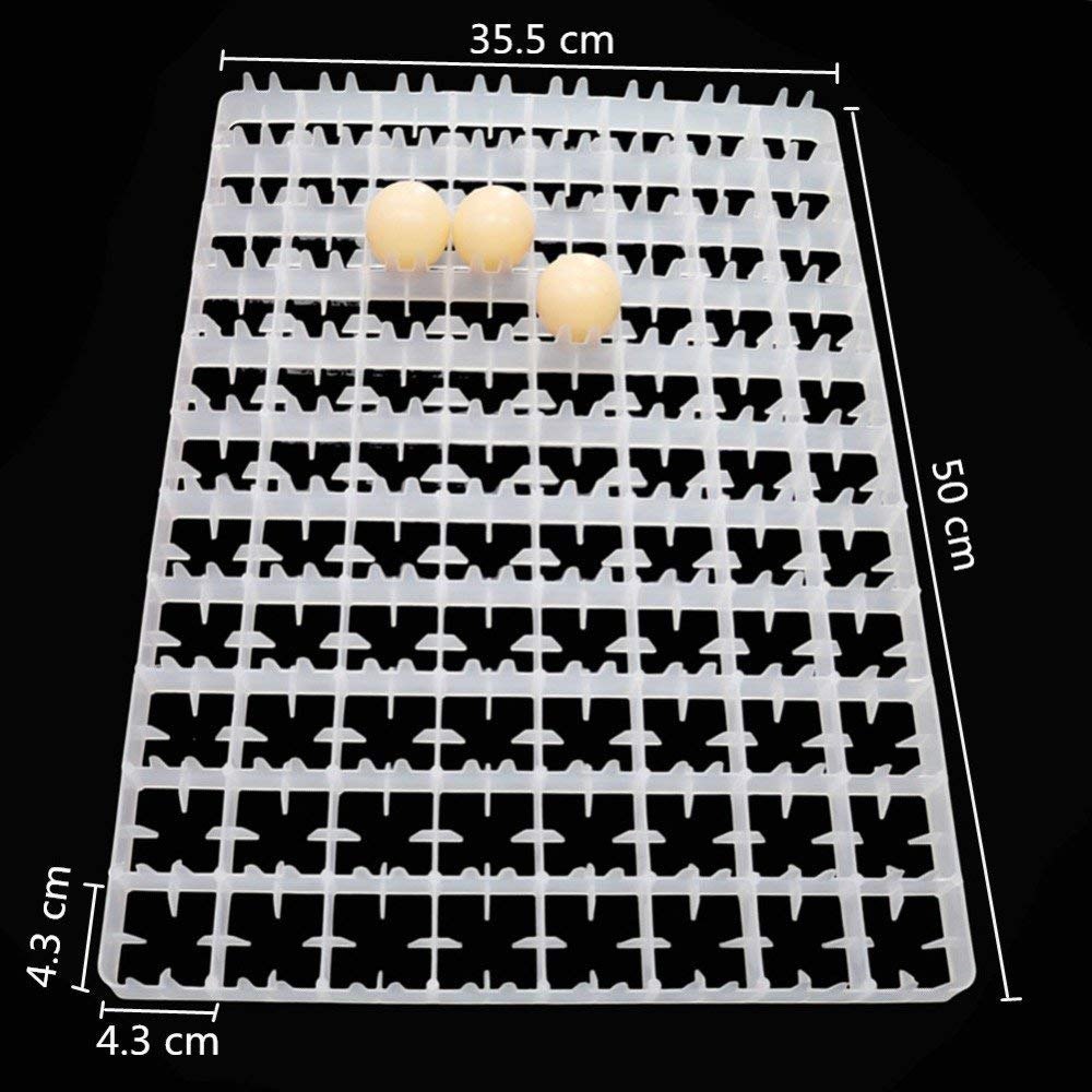 White Plastic Egg Tray, No Of Egg Capacity: 88 Eggs, Size: 50 X 35.5 Cm