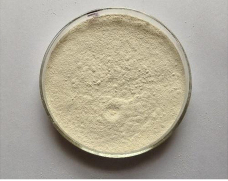 Tamarind Seed Powder Tsp, Packaging Size: 50g