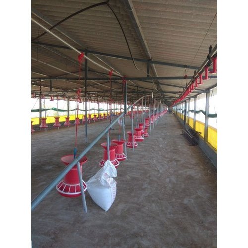 Automatic Bell Broiler Feeding System