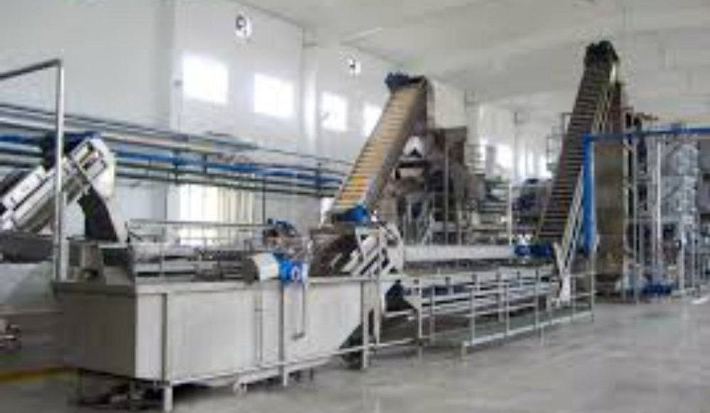 Tamarind Seeds Powder Machinery