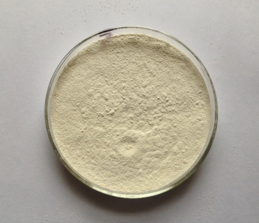 Tamarind Seed Powder, Packaging Type: Packet, Packaging Size: 50g