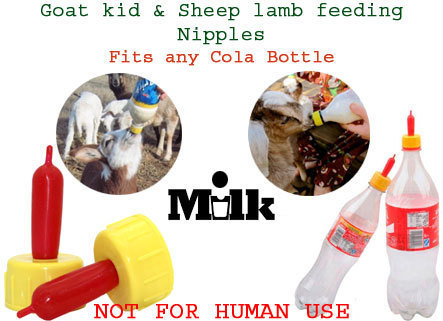 Sheep and Goat Milk Feeding Nipples