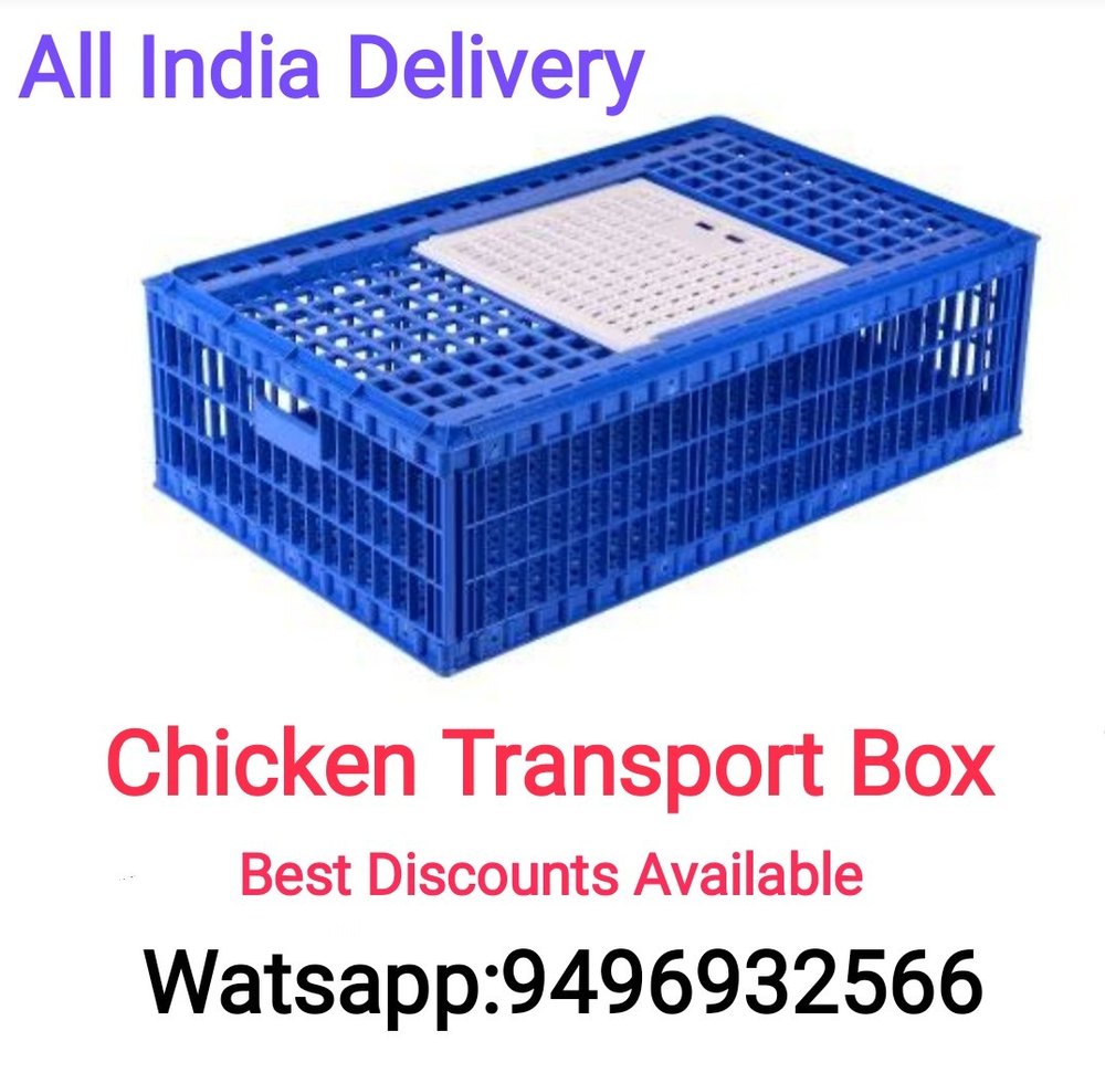 Plastic Broiler Chicken Transport Box