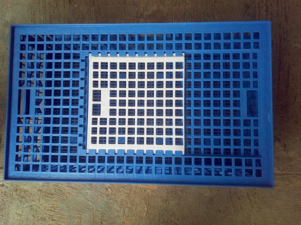 Plastic Poultry Transport Crate