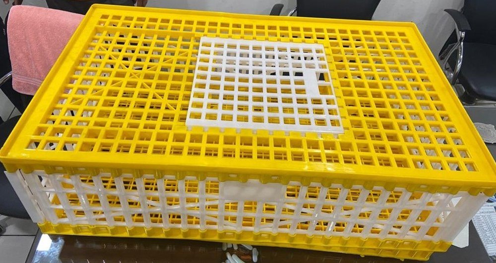 Plastic Chicken Transport Box