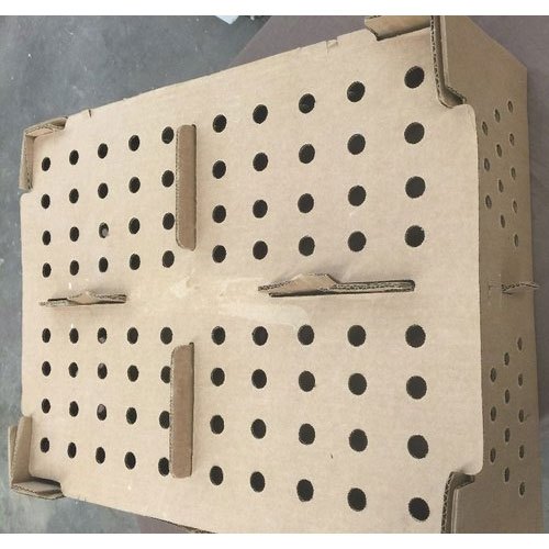 Brown Chick Transport Box