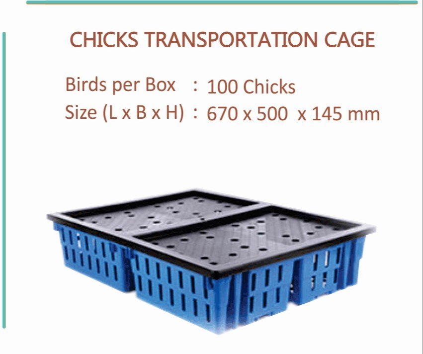 Chick Transportation Cage