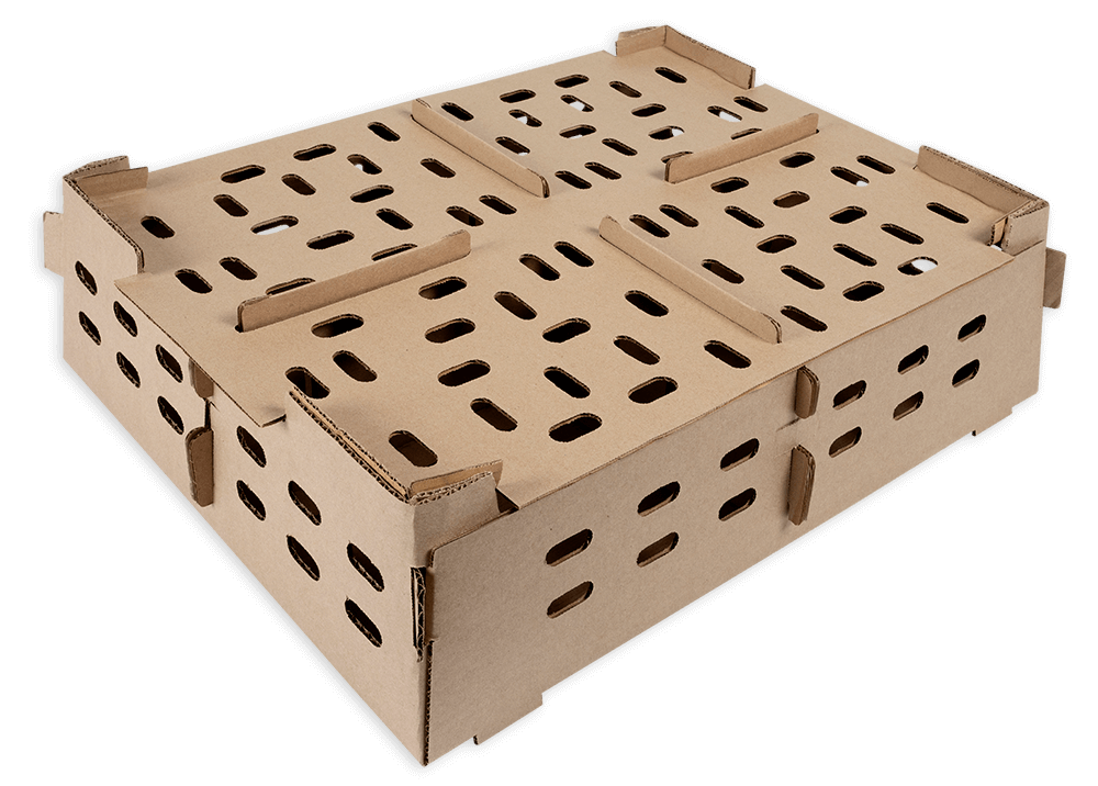 Corrugated Carton Single Wall 3 Ply Chick Box