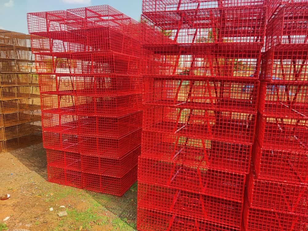 Red Broiler Cages Transport Box