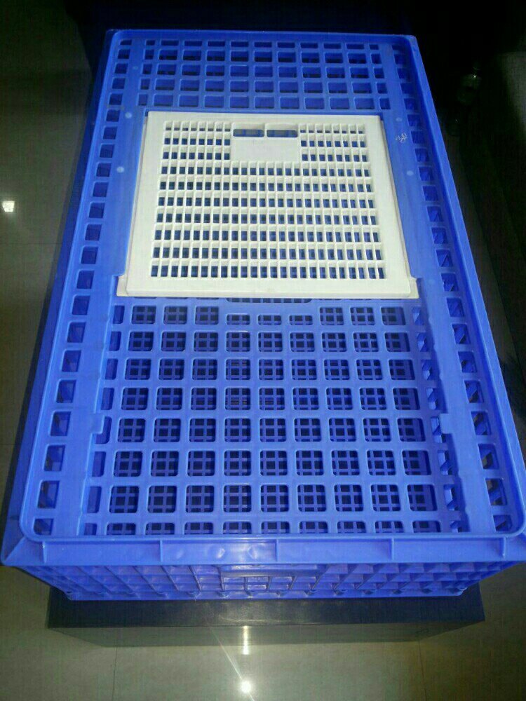 Plastic Chicken Transport Box/Cages