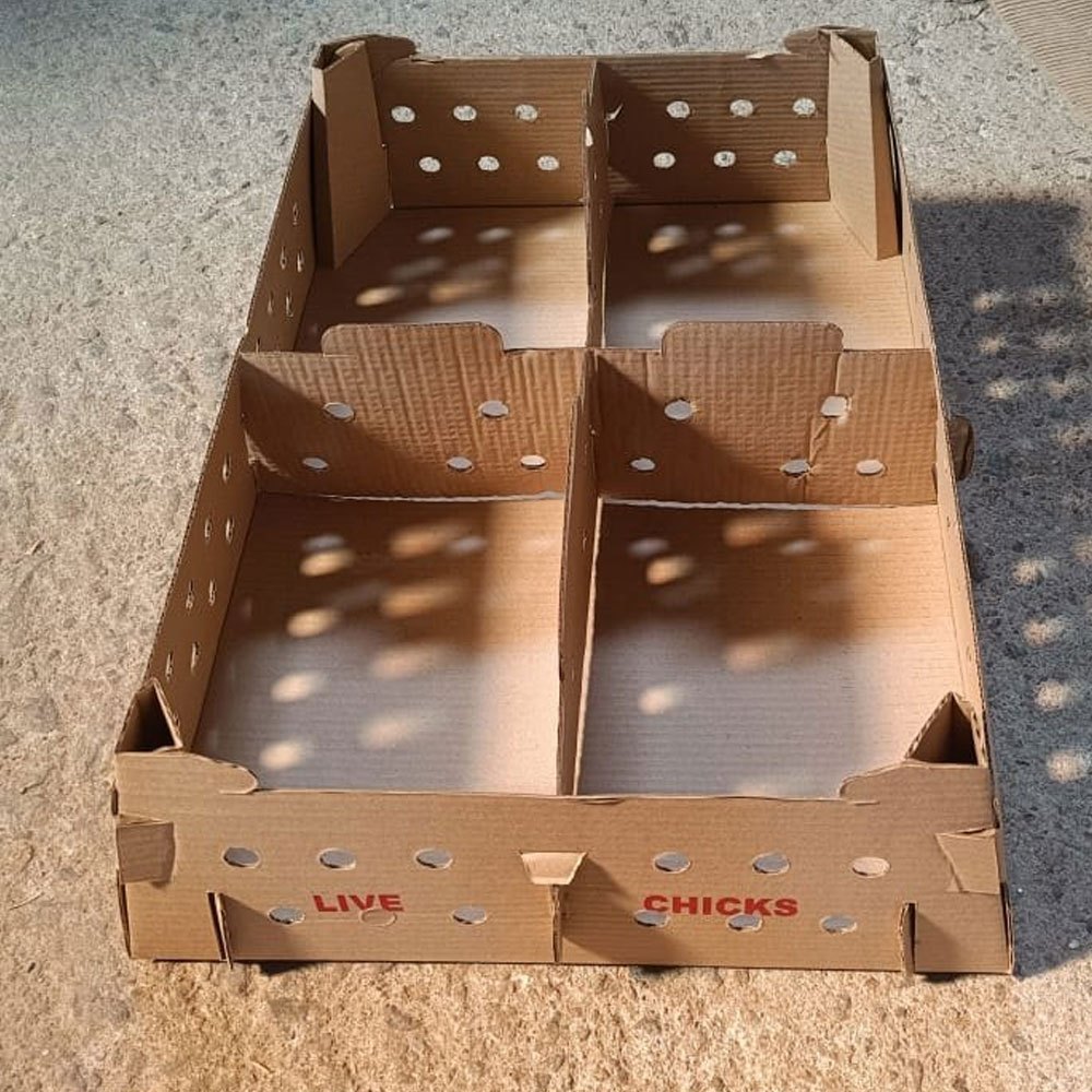 Single Wall 3 Ply 4 Partition Chicken Transport Box
