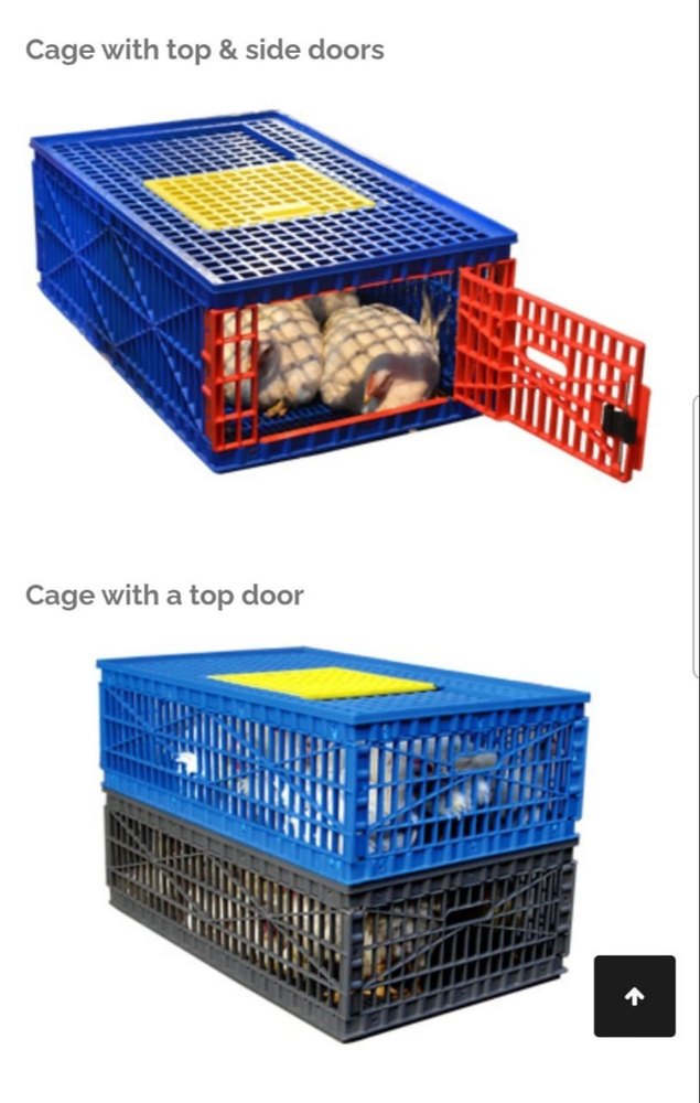 Linear Transport Poultry Cage, 12 Birds
