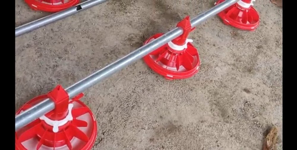 Automatic Pan Feeding System