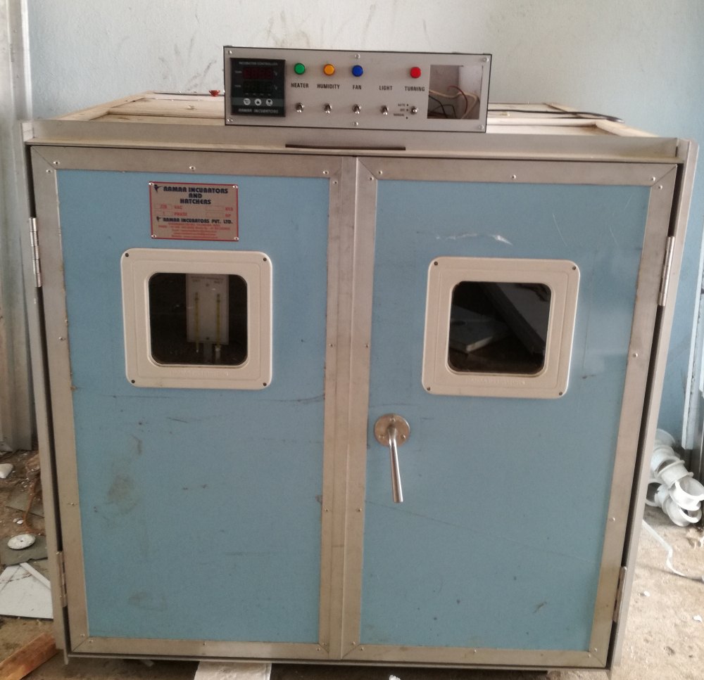 500 Eggs Capacity Incubator Cum Hatcher