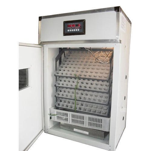 Egg Incubator