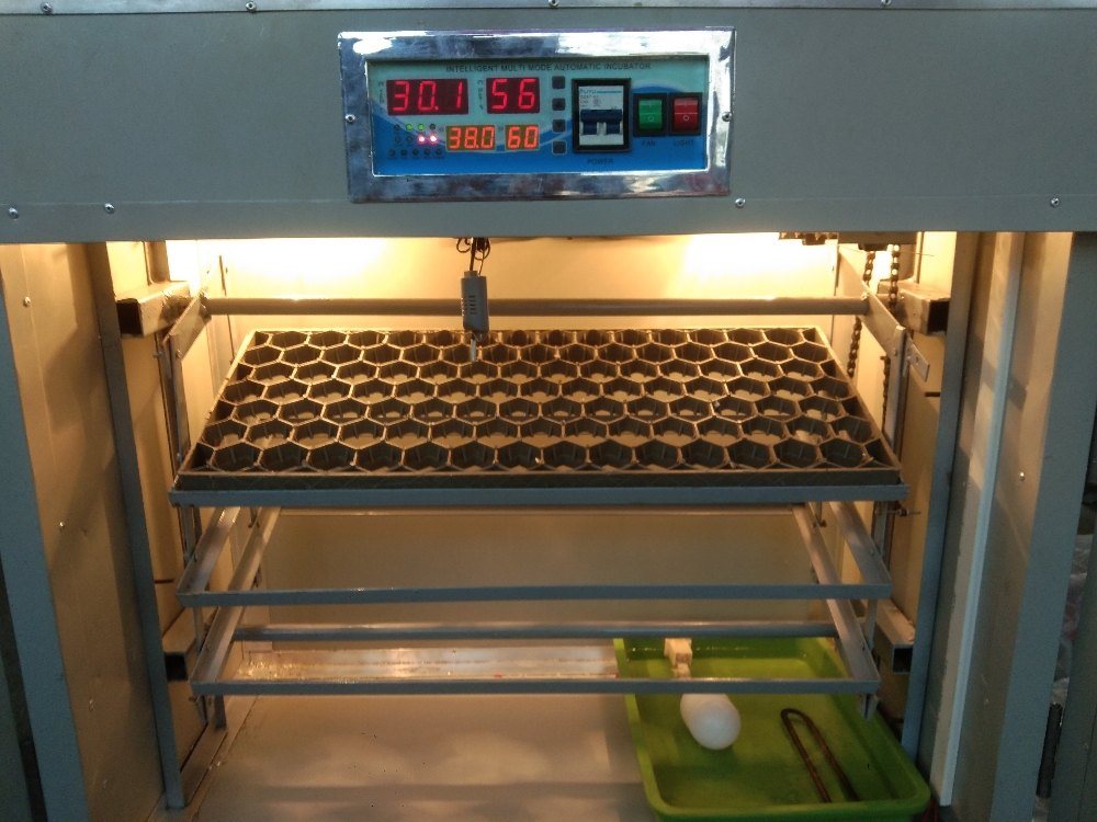37.5 C 303Eggs Capacity Incubator