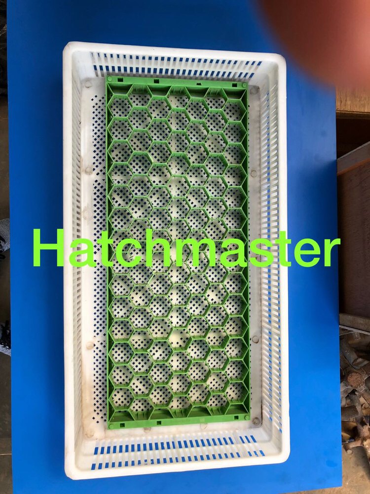 Karamsar Hatchmaster Egg Hatching Tray