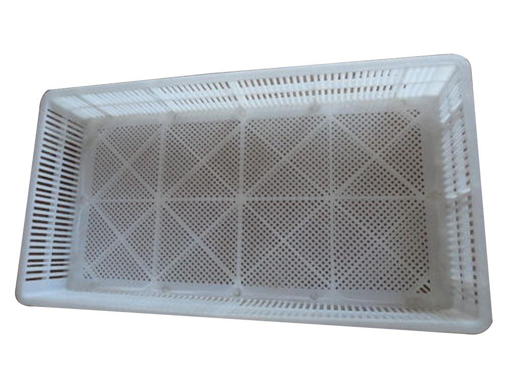 Plastic Hatcher Tray