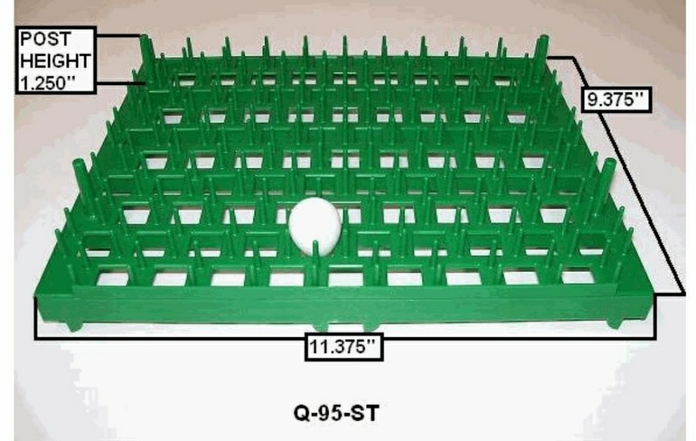 Quail Eggs Tray