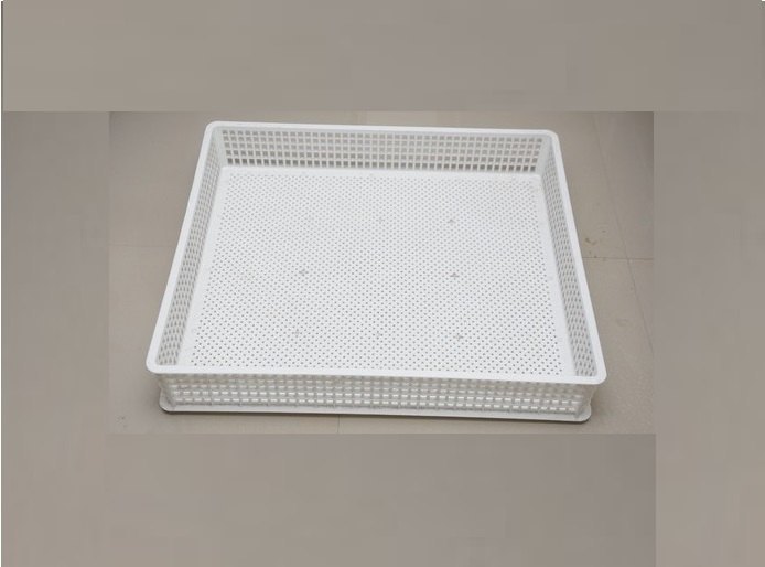 Plastic White Hatcher Tray, Shape: Rectangle