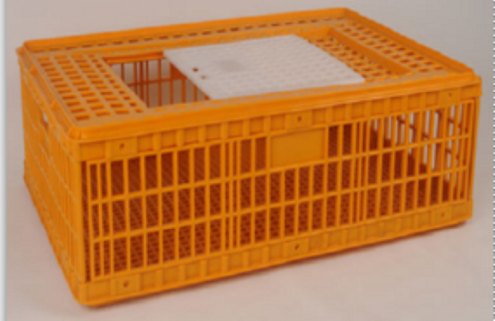 Plastic Bird Transport Crates, Capacity: 12 Broilers Of 2kg Weight
