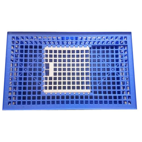 Birds Blue Chick Transport Box, Capacity: 18birds