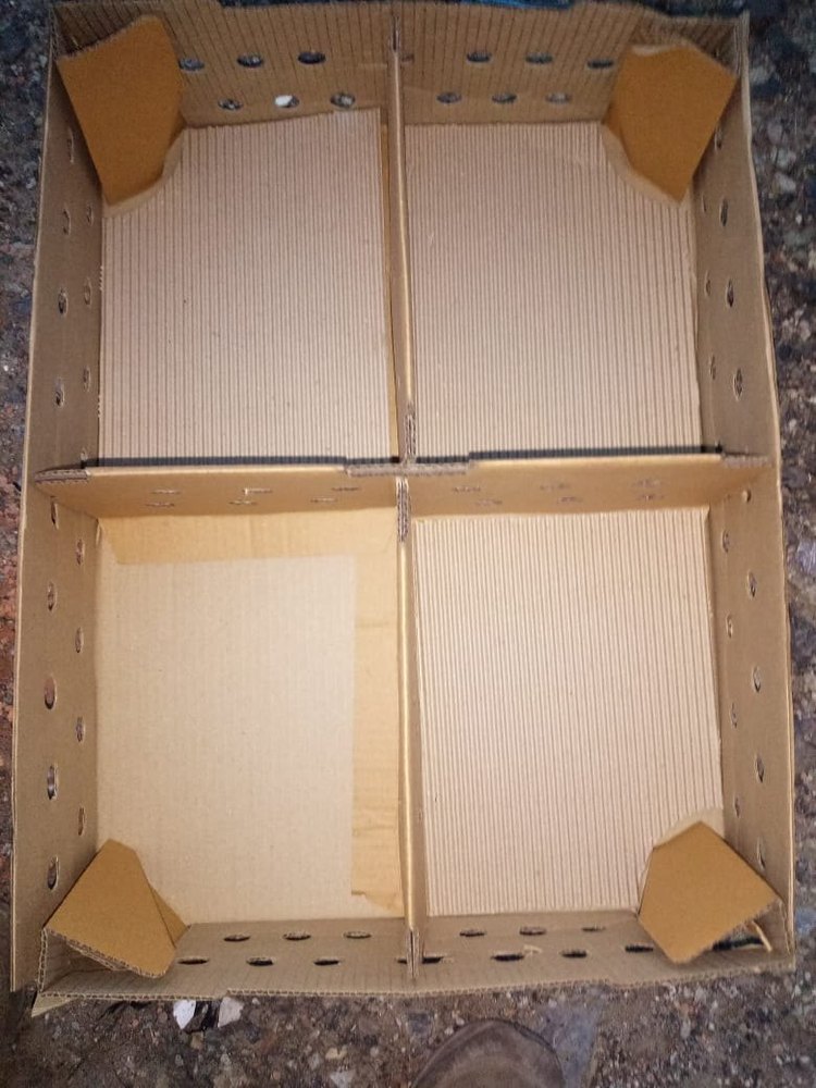 francolin tearrt pheasant Transport Box