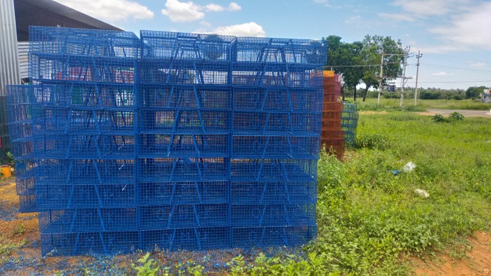 Chicken Broiler Cage