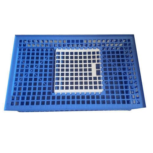 Chicken Birds Blue and White Bird Plastic Cage