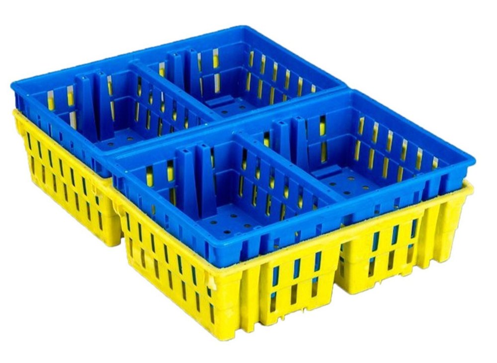 Chick Transportation Box