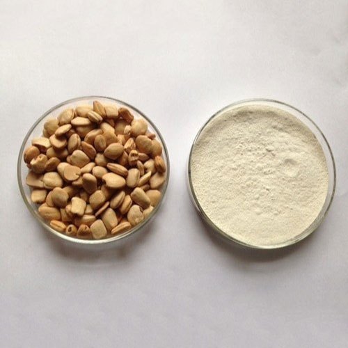 White Tamarind Kernel Powder, Packaging Type: Bag, Packaging Size: 50 Kg
