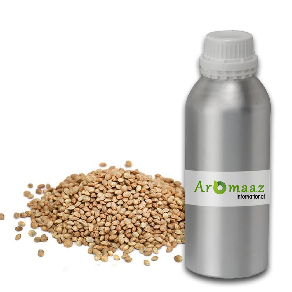 Hemp Seed Carrier Oil