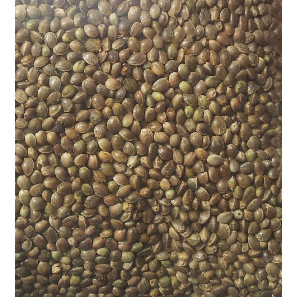 Hemp Seed Oil