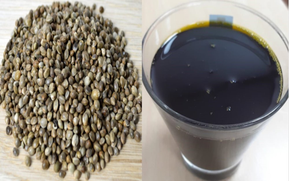 Hemp Seed Oil