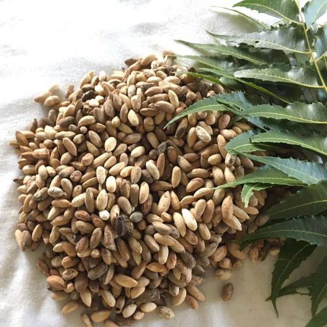 Brown Organic Fertilizer Neem Kernel Powder, Packaging Size: 1 kg, Packaging Type: Pollybags