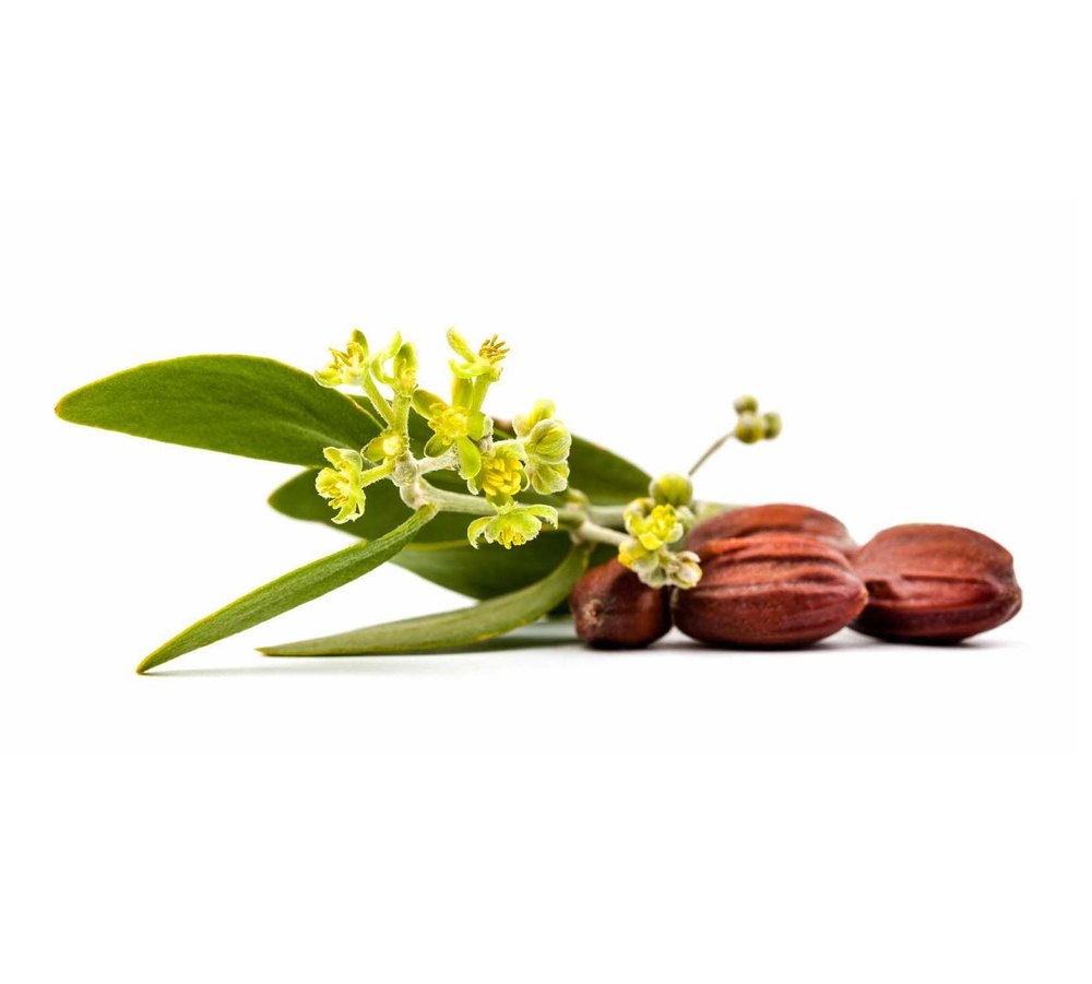 Kanta Golden Jojoba Oil