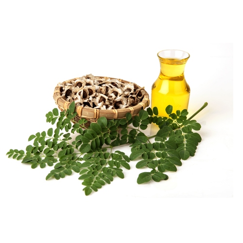 Moringa Oil, Packaging Type: Bottle, Drum