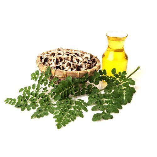 Moringa Oleifera Seed Oil