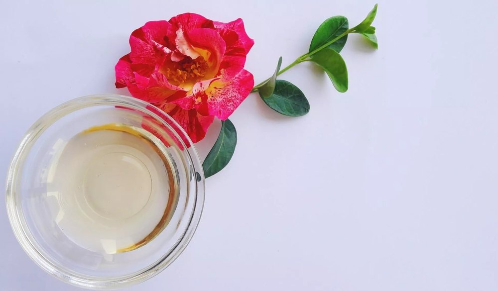 Camellia (Green Tea Seed) Oil - Cold Pressed Carrier Oil, For Cosmetic