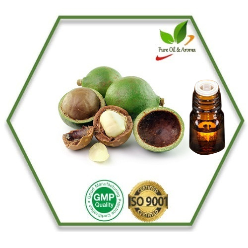 Calophyllum Inophyllum Tamanu Oil