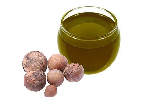 100% Pure And Natural Calophyllum inophyllum Tamanu seed oil, For Cosmetics