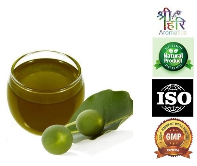 Pure Tamanu Oil