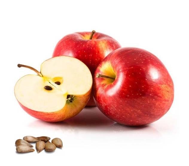 Pyrus Malus Apple Seed Oil for Skin Care