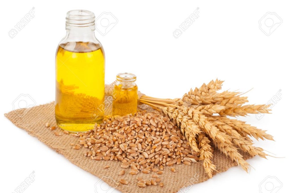 KS Essentials 1 Litre to 180 Litre Wheat Germ Oil