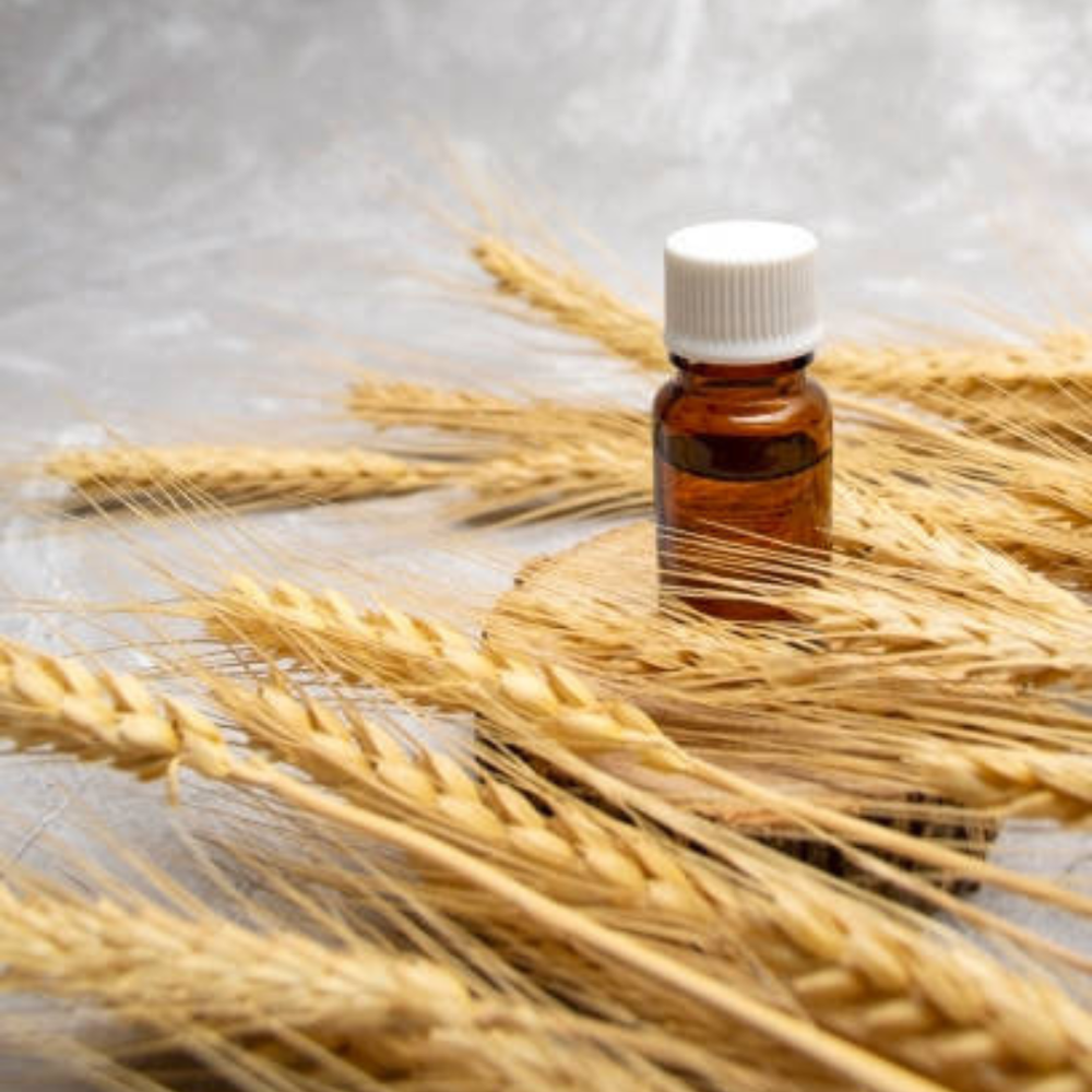 Rmayra Naturals Cold Pressed Pure Wheat Germ Oil (imported), For Cosmetic, Packaging Size: 1 Kg To 200kg